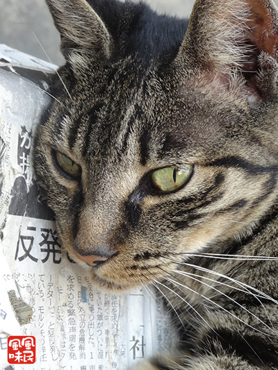 140906c01.jpg