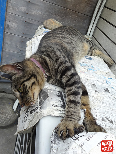 140906c02.jpg