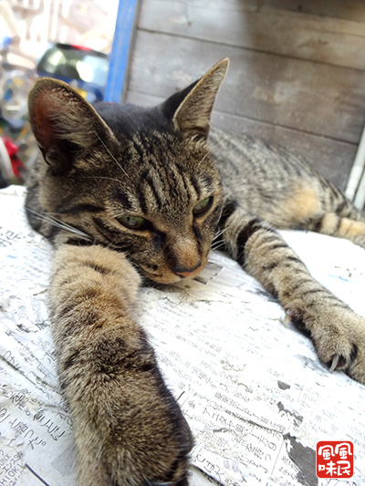 140906c03.jpg