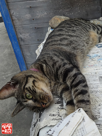 140906c04.jpg