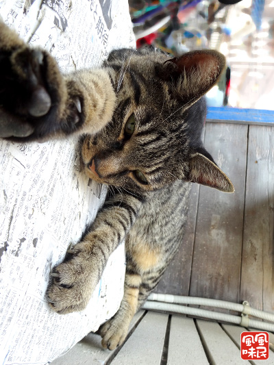 140906c07.jpg