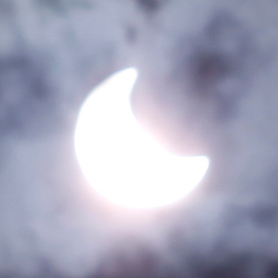 d059.jpg