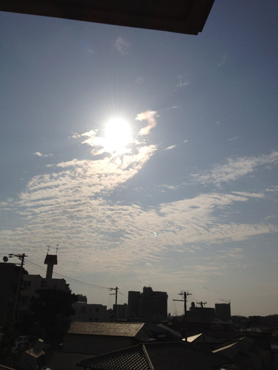 d069.jpg